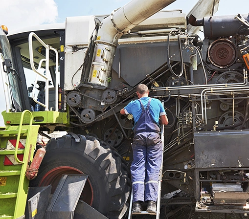 Servicio-2